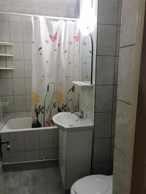 Apartament Confortabil Pitesti Exterior photo